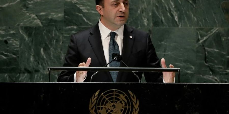 Georgischer Regierungschef Garibaschwili