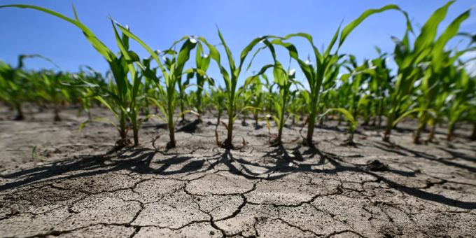Anstelle von «Klimawandel» soll der Begriff «Klimakrise» verwendet werden. Klimawandel