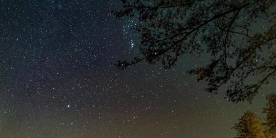 Blick auf einen kleinen Teil der Milchstrasse am nächtlichen Sternenhimmel über dem Schwarzen See im Landkreis Märkisch-Oderland. Foto: Patrick Pleul/dpa-Zentralbild/dpa