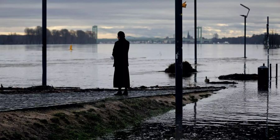 Rhein-Hochwasser in Köln