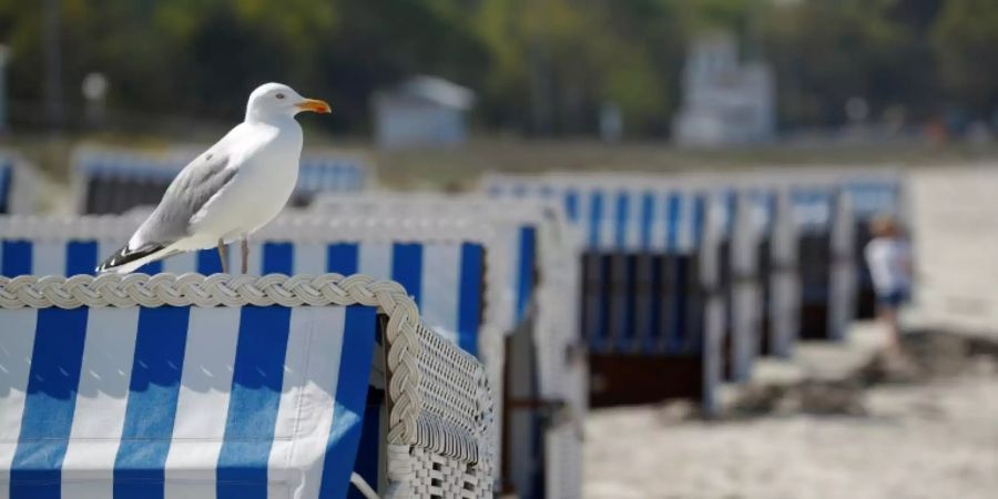 Ostsee