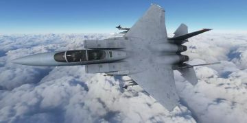 Microsoft Flight Simulator F-15