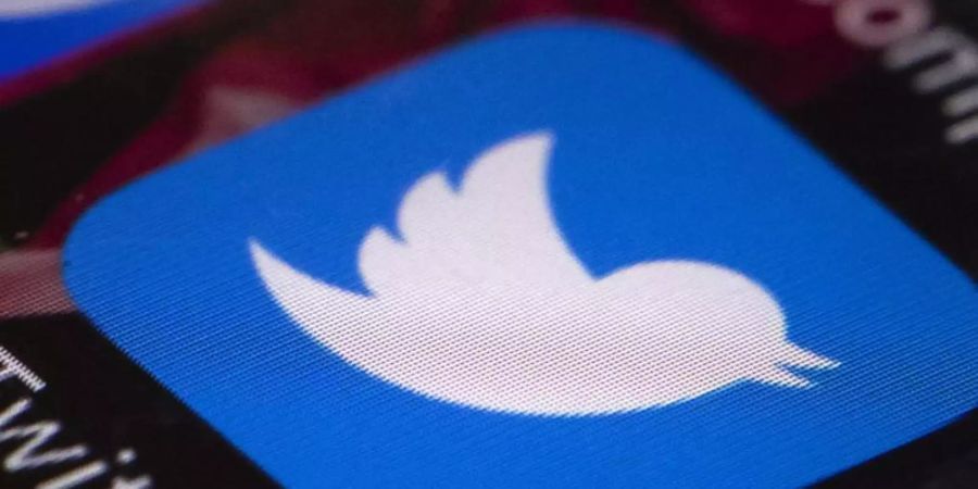Nach dem Sturm auf das Kapitol hatten Twitter und Facebook bereits Donald Trumps Accounts bis auf Weiteres gesperrt. Foto: Matt Rourke/AP/dpa