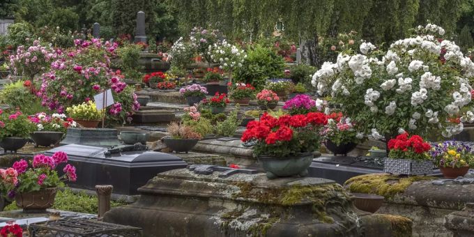 Alte Gräber mit Blumenschmuck.