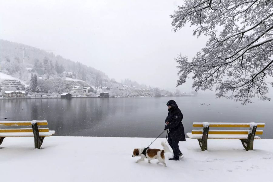 zug unterägeri schnee