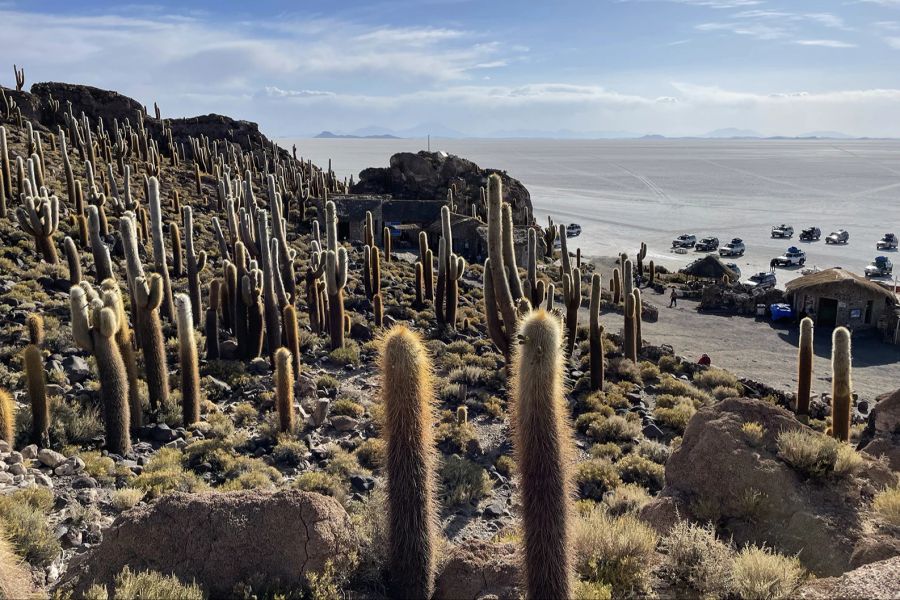 Incahuasi Salar de Uyuni