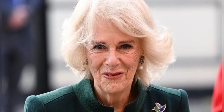 camilla, queen consort