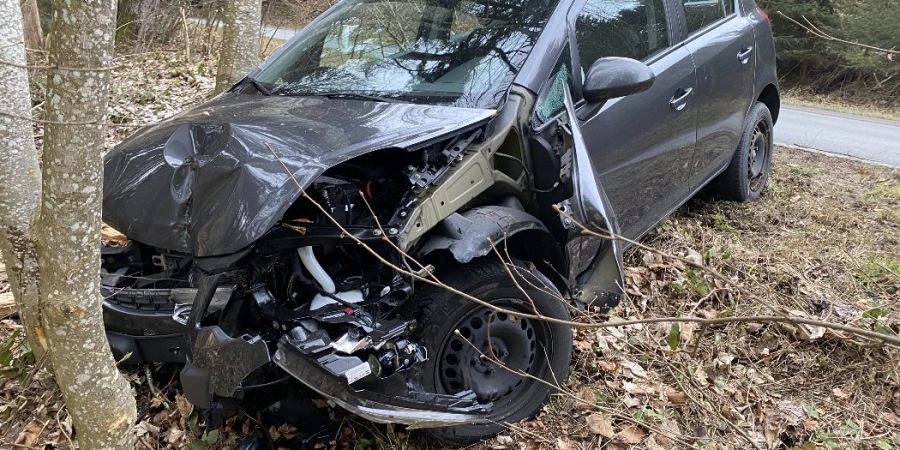 Leutwil: Beherrschung verloren und in Baum geprallt