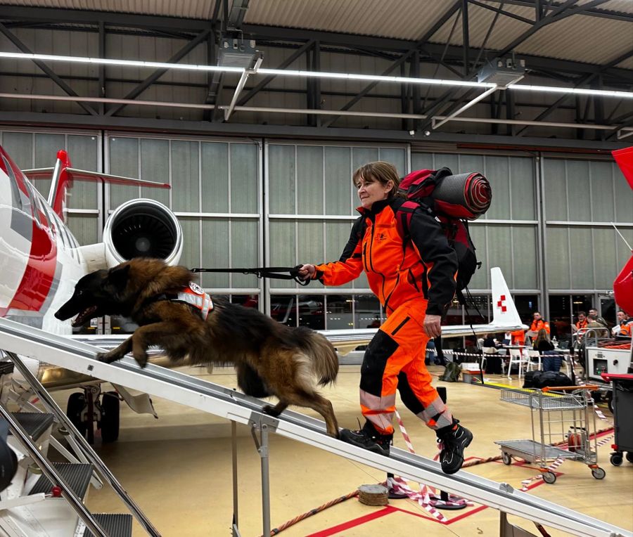 Ein Hundeteam des Vereins Redog betritt den Flieger, welcher sie in das Katastrophengebiet in der Türkei bringen wird.