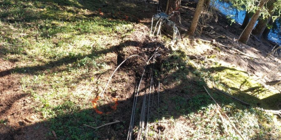 Tschierv: Forstarbeiter von Stahlseil getroffen
