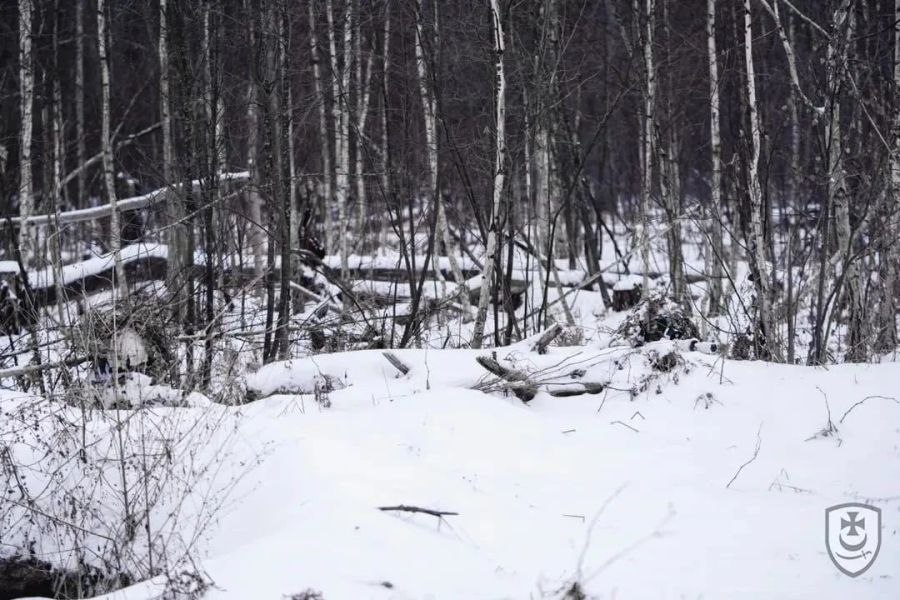 Tipp: In diesem Bild befinden sich zwei getarnte ukrainische Sniper.