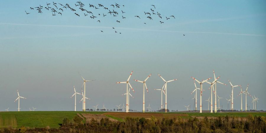 Der Fachkräftemangel bremst die Energiewende aus.