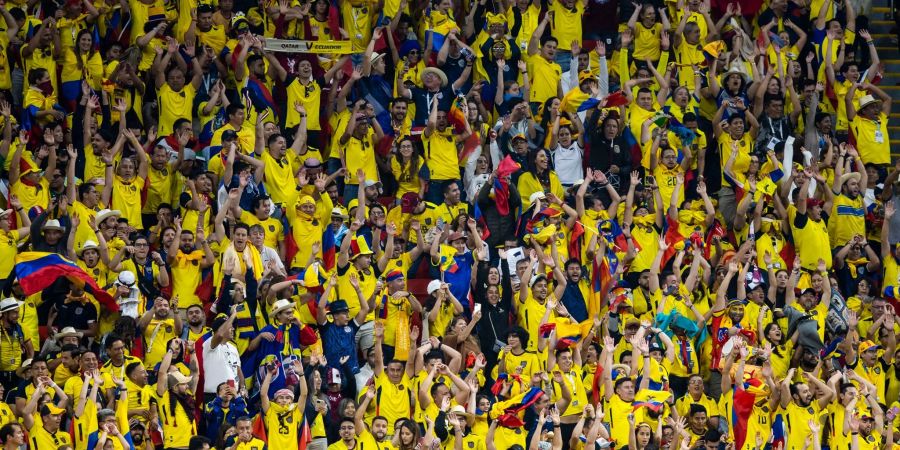 Fans aus Ecuador jubeln auf der Tribüne.