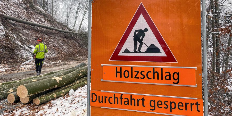 Ein Schild warnt vor Holzschlag-Arbeiten. (Symbolbild)