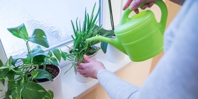 Fensterbank Giesskanne Hände Pflanzen Blumen Töpfe