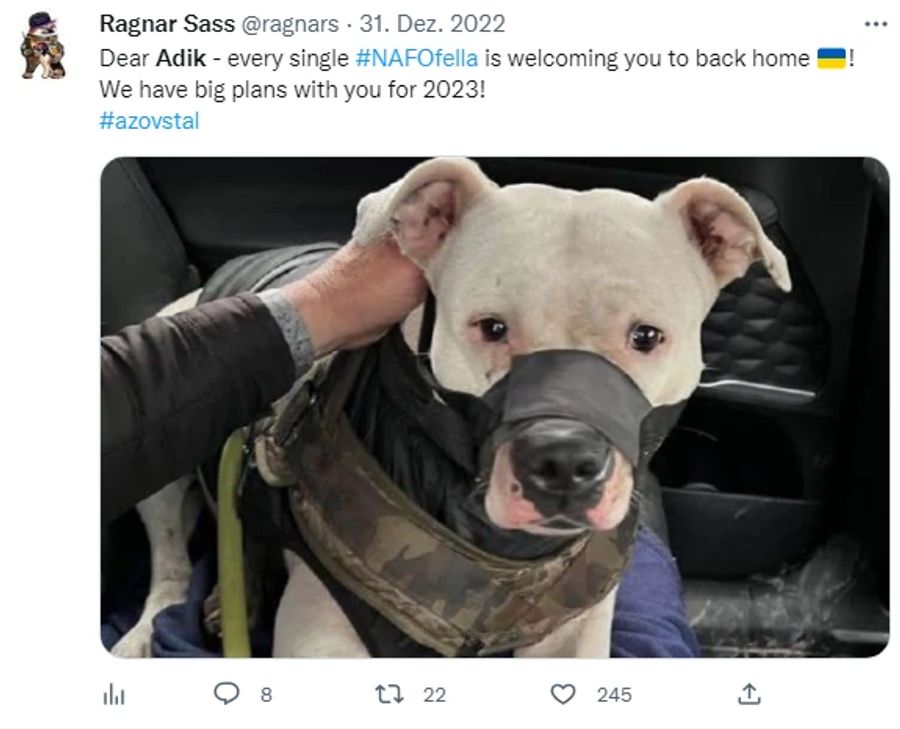 Im Juni wurde der Pitbull Adik von russischen Soldaten einer ukrainischen Soldatin weggenommen.