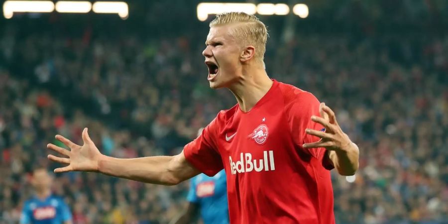 Champions League Erling Haaland