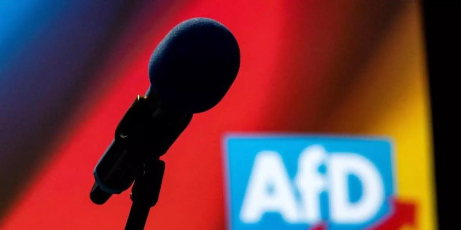 Mikrofon Bundesparteitag
