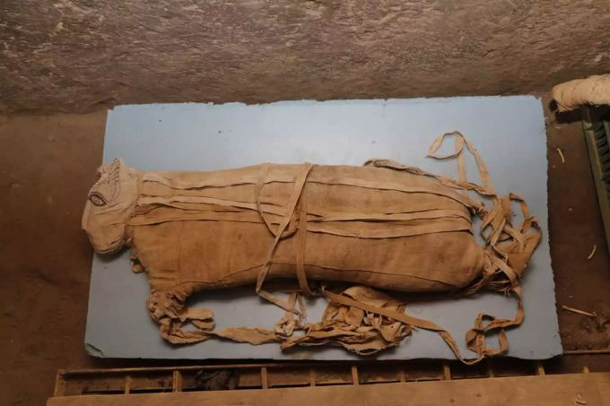 Mumienfund aus Ägypten. Tiermumie
