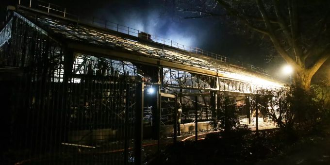Das Affenhaus des Krefelder Zoos nach dem Brand in der Silvesternacht. Foto: David Young Zoo Krefeld ggmbh Affenhaus