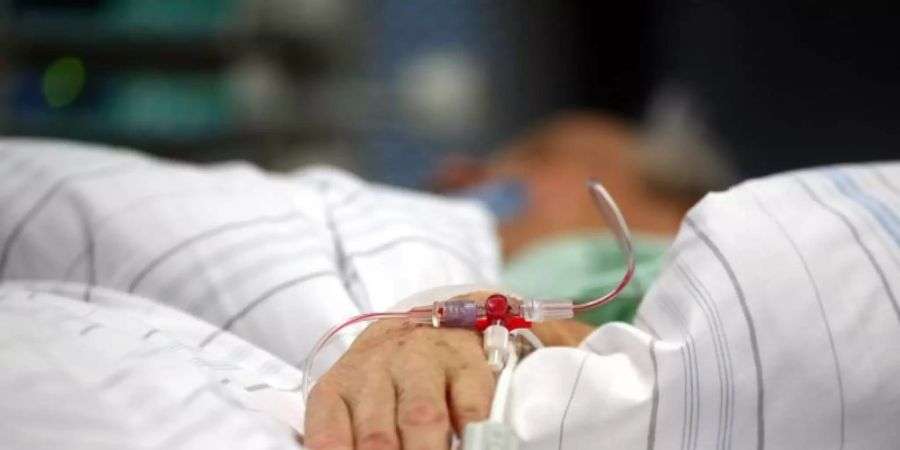 Das Borna-Virus ist selten, kann aber tödliche Folgen haben. Es gilt als Verursacher von Hirnentzündungen.