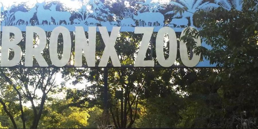 Der Eingang zum Bronx Zoo in New York. Ein Tiger in einem Zoo in New York hat sich mit dem neuartigen. Foto: Jim Fitzgerald/AP/dpa