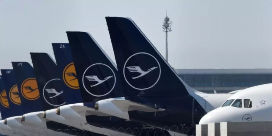 Lufthansa-Maschinen am Münchner Flughafen Franz Josef Strauss