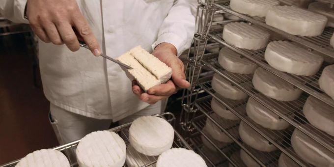Wegen E. coli - Rückruf von Camembert in Sachsen-Anhalt D