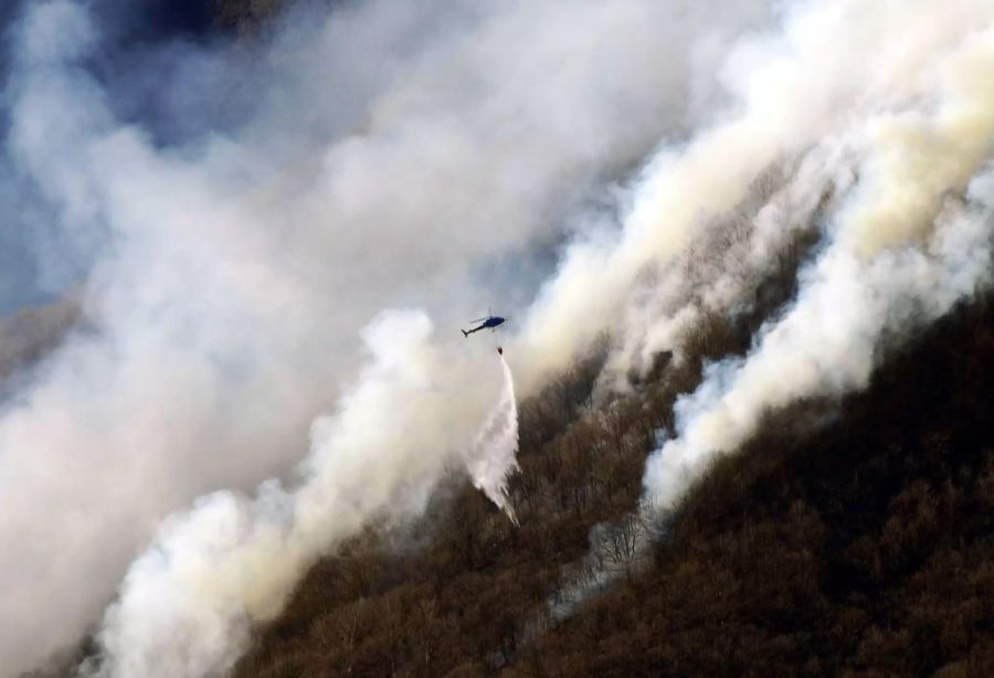 waldbrand Tessin