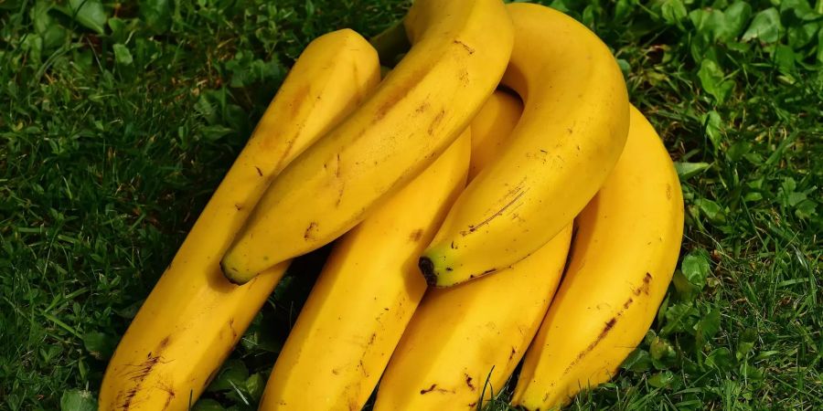 Sensor Ethylen Früchte Bananen