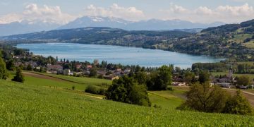 Hallwilersee, Seengen