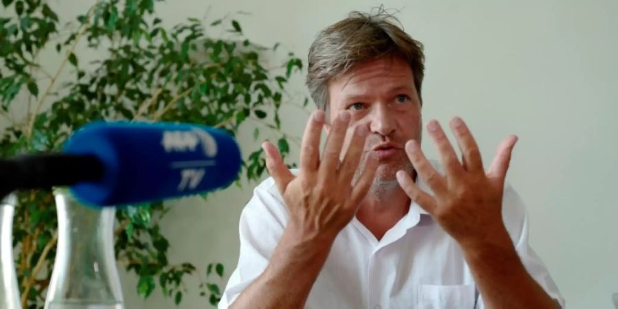 Grünen-Chef Habeck
