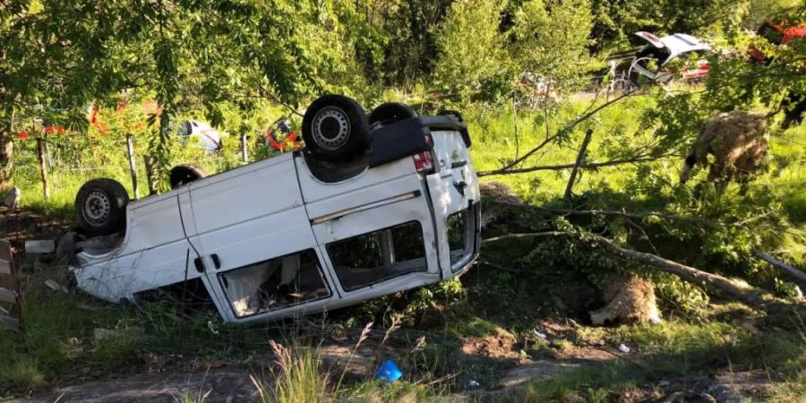 Fahrer und Beifahrer des Lieferwagens wurden schwer verletzt. Einige Schafe wurden beim Unfall getötet.