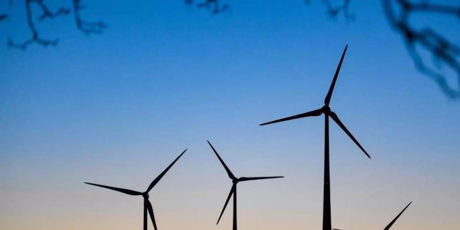 Lange Genehmigungsverfahren und viele Klagen: Der Ausbau der Windkraft ist fast zum Erliegen gekommen. Foto: Patrick Pleul