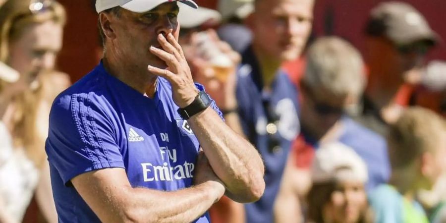 HSV-Coach Dieter Hecking wird den Kapitän von der Mannschaft wählen lassen. Foto: Axel Heimken