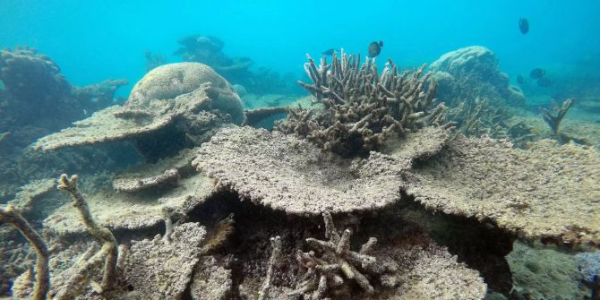 Great Barrier Reef