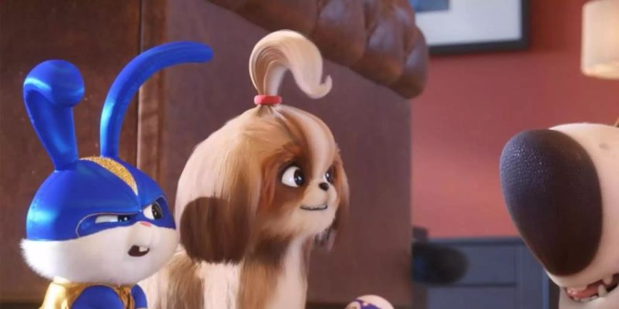 Snowball (l) versucht gemeinsam mit Daisy (M), einen Tiger aus dem Zirkus zu befreien. Foto: Illumination Entertainment And U/Universal Pictures