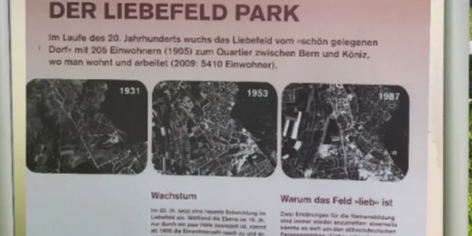 Infoschild Liebefeldpark