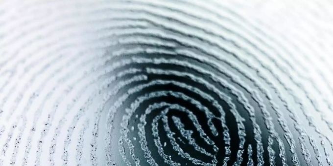 Der Fingerabdruck ist ein gängiger Schlüssel für biometrische Sicherungsverfahren. Foto: Henrik Josef Boerger Der Fingerabdruck ist ein gängiger Schlüssel für biometrische Sicherungsverfahren. Foto: Henrik Josef Boerger