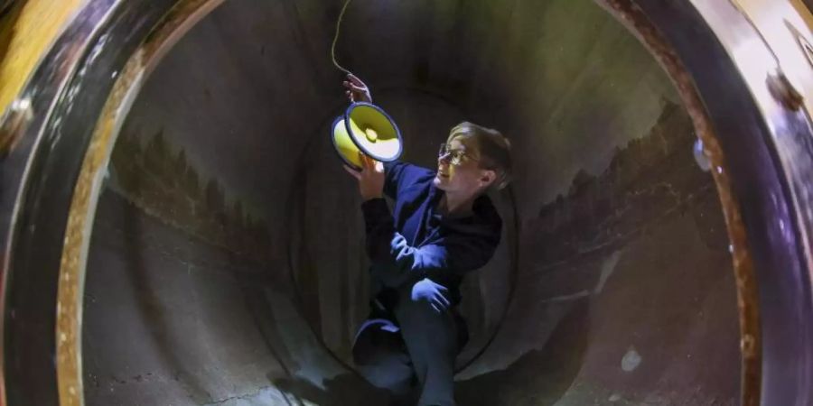 Kellermeisterin Kathleen Romberg installiert einen Unterweinlautsprecher in einem Eichenholzfass in der Winzervereinigung Freyburg. Foto: Jan Woitas/dpa-Zentralbild/dpa