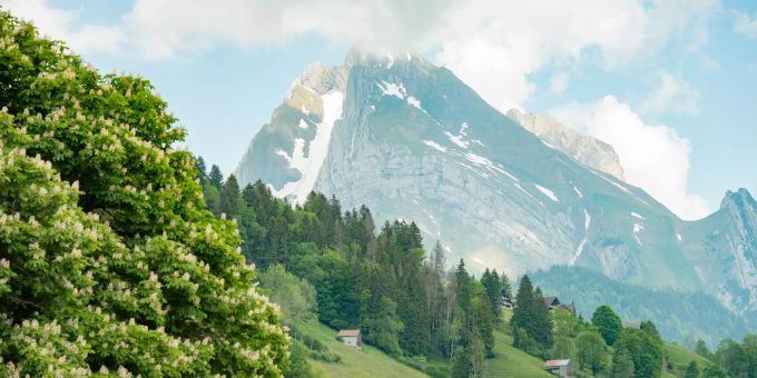 Bergpanorama im Toggenburg. Bergpanorama im Toggenburg.