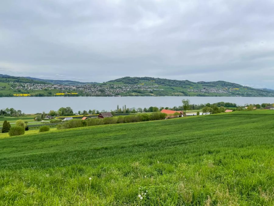 Ausblick auf den Hallwilersee.