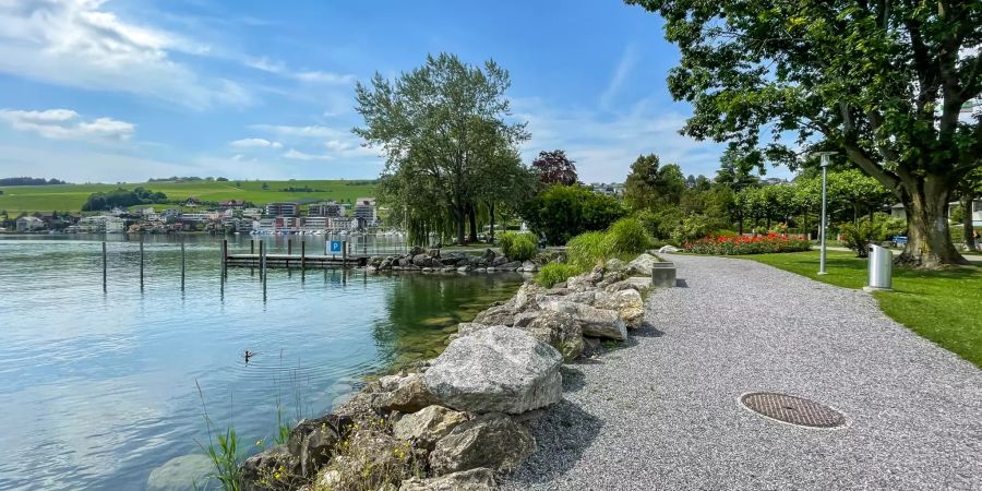 Ausblick auf den Vierwaldstättersee in Küssnacht (SZ).