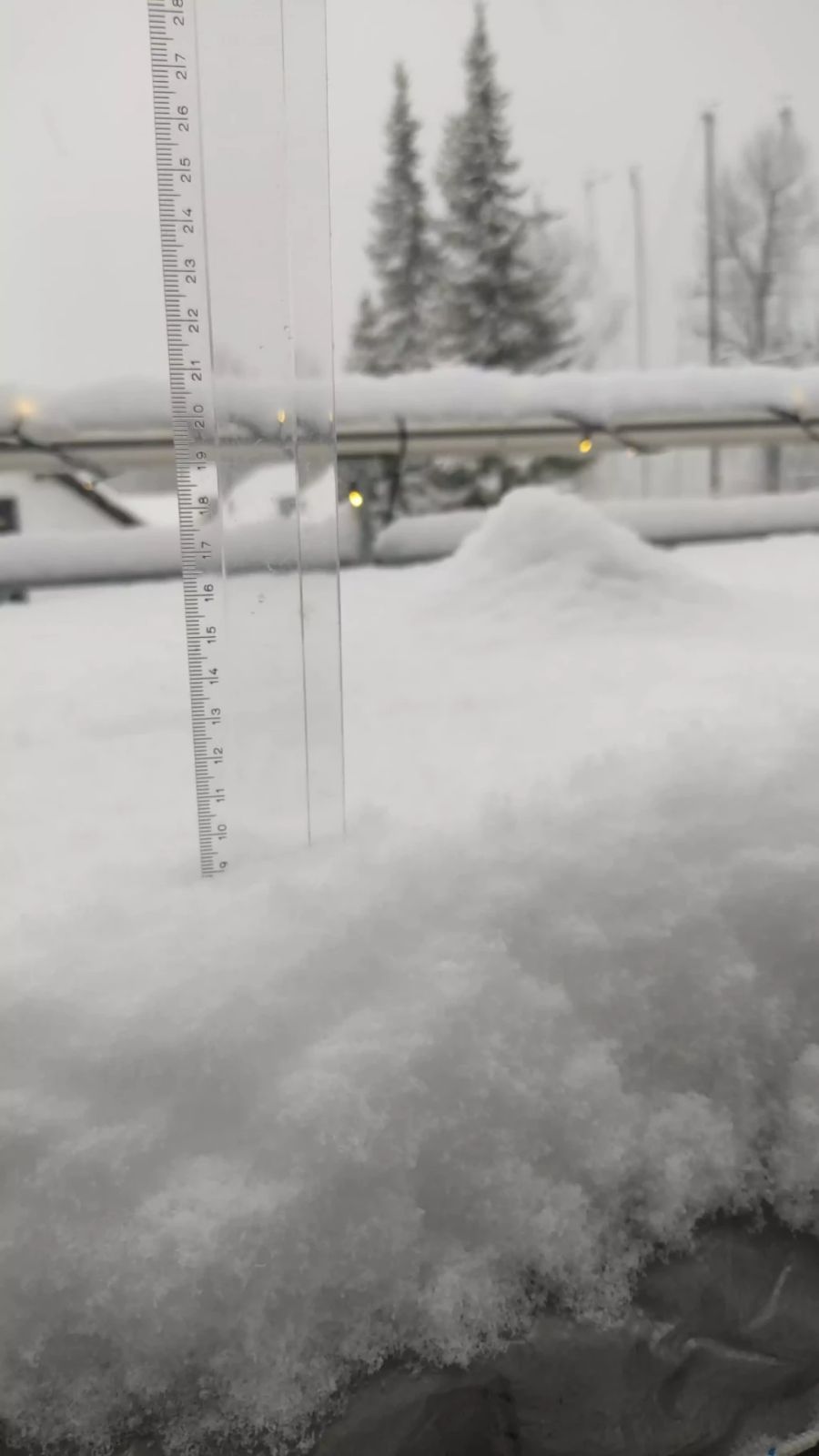 Je nach Messung fiel bis zu 9 Zentimeter Neuschnee in Murten.