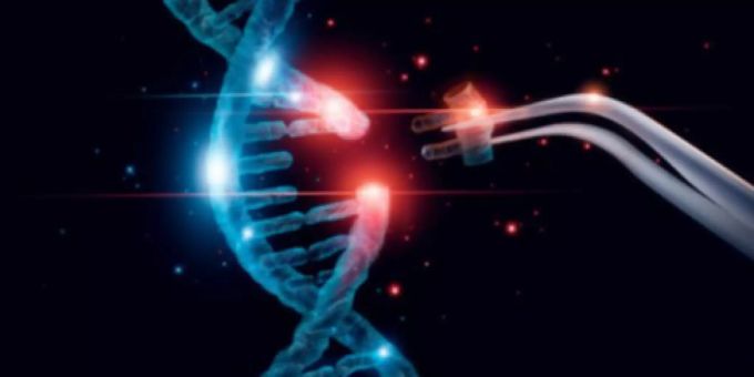 Das Medikament der Santhera Pharmaceuticals Holding steht kurz vor der Zulassung. santhera pharmaceuticals holding