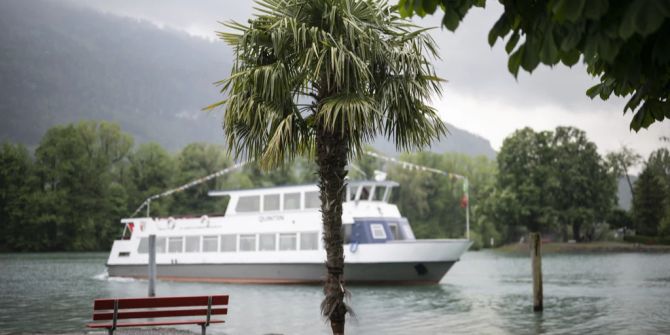 künstliche intelligenz schiff