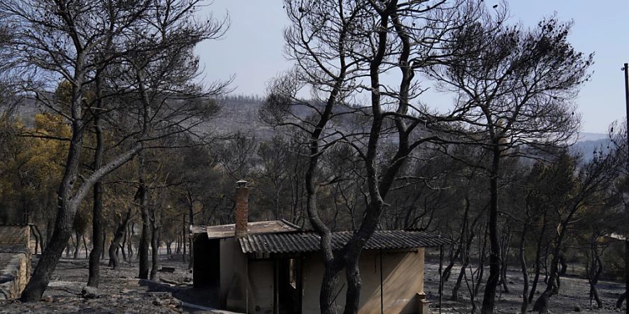 Ein ausgebranntes Haus und verbrannte Bäume nach einem Waldbrand in Mandra. Foto: Thanassis Stavrakis/AP/dpa