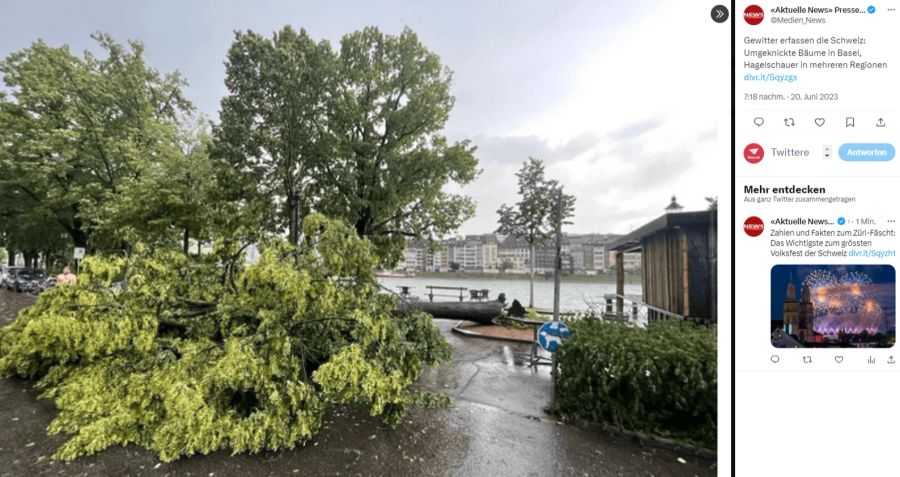 In Basel wurden wegen des Gewitters Bäume umgeknickst.