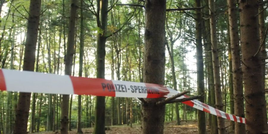 Die Leiche Ylenias wurde am 15. September 2007 im Hartmannswald bei Oberbüren (SG) gefunden. (Archivbild)