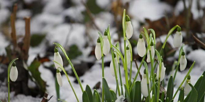 april wetter